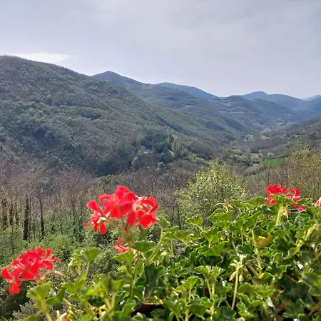 Il Moro Sulla Via Del Ponte 3* Sellano