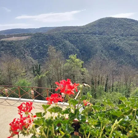 Il Moro Sulla Via Del Ponte Casa de hóspedes