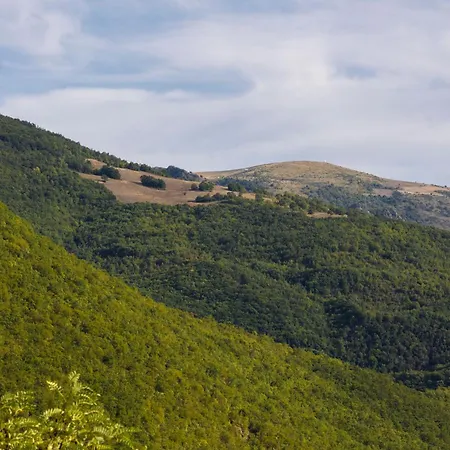 Il Moro Sulla Via Del Ponte