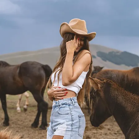 Il Moro Sulla Via Del Ponte Sellano