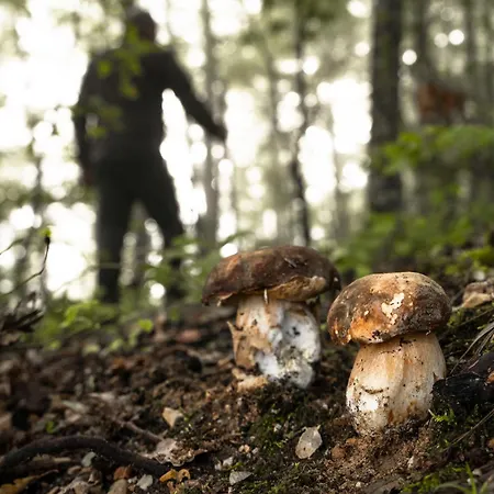 Il Moro Sulla Via Del Ponte Vendégház 3*
