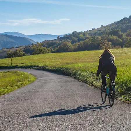 Il Moro Sulla Via Del Ponte Pensionat 3*