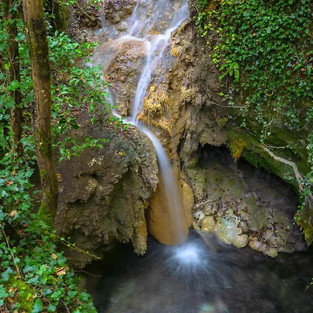 Il Moro Sulla Via Del Ponte