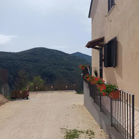 Il Moro Sulla Via Del Ponte Pensionat