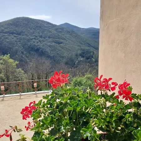 Il Moro Sulla Via Del Ponte