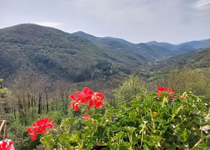 Il Moro Sulla Via Del Ponte 3* Sellano