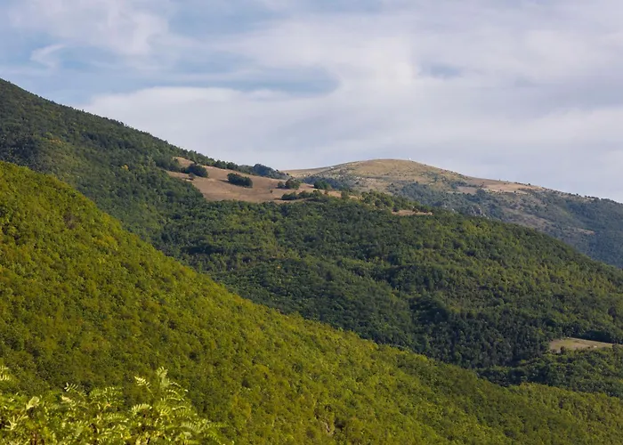 Il Moro Sulla Via Del Ponte