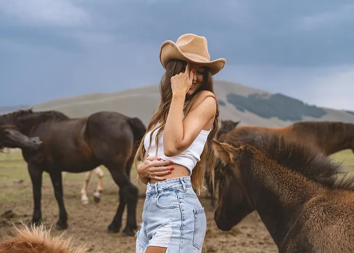 Il Moro Sulla Via Del Ponte Sellano