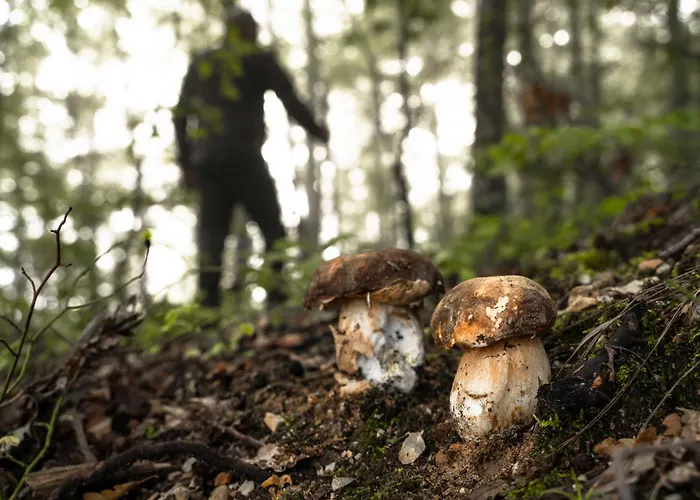 Il Moro Sulla Via Del Ponte Pensjonat 3*