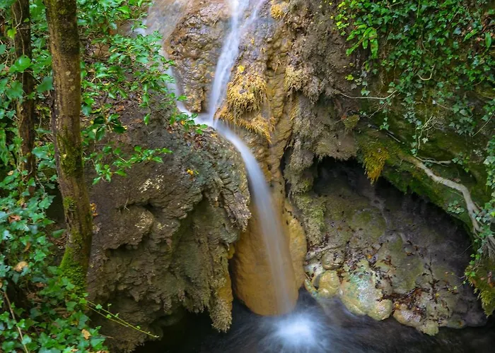 Il Moro Sulla Via Del Ponte