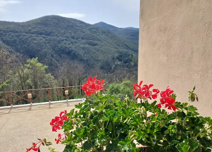 Il Moro Sulla Via Del Ponte