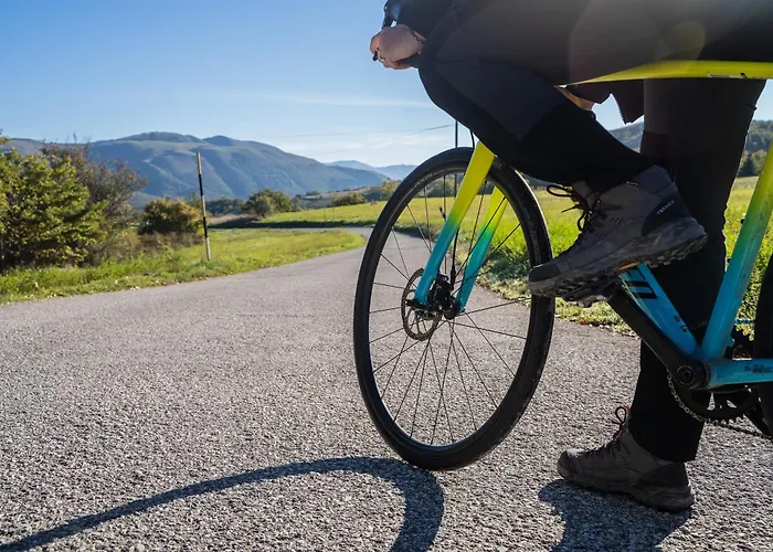 Il Moro Sulla Via Del Ponte Pensjonat